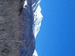 Ղ{[C̑PܘY̑ւ̓eʐ^1