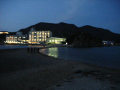 �G���W�F�����[�h�̎ʐ^1