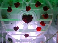 �Ђ߂���܂���̍��c�Ђ����C�l�����ւ̓��e�ʐ^1