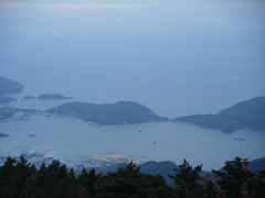 �l���w�W�]��̎ʐ^1