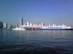 l`傳񋴍ۋqD^[~i̎ʐ^1