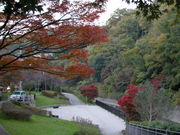 kazumiringo̗c̓eʐ^1