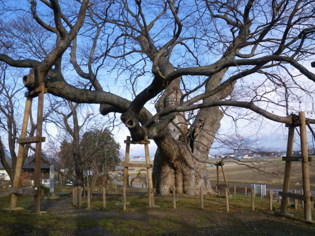 ׋S̍̑؁iPLj̓eʐ^1