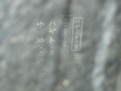 ܂chan̊C߃^[ւ̓eʐ^1