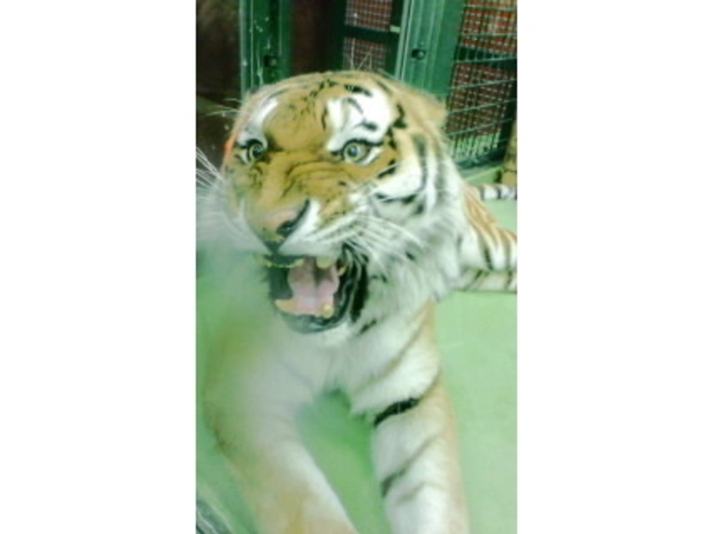 �~�R������