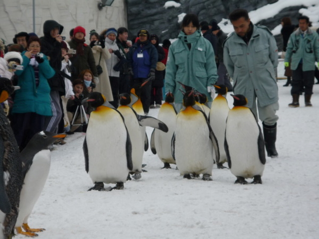 ���R������