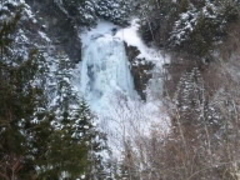 񂿂Ⴓ̑PܘY̑ւ̓eʐ^1