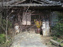 repesen-n.s.c-@docomo.ne.jp����̍��X�c�y�̗��ւ̓��e�ʐ^1