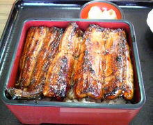 �J�g�R����̂��ȏC�ւ̓��e�ʐ^1