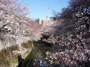 purekirara̍]ː̂̓eʐ^1