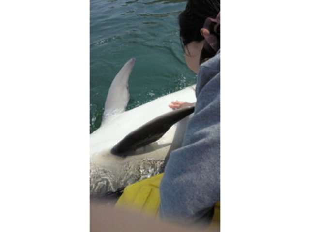 ���{�h���t�B���Z���^�[