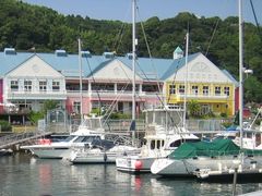 natura̓̉w ɓ}^Eւ̓eʐ^1