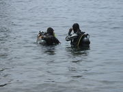 chevy.h̃TZbg][g̓eʐ^1