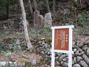 �g�t����̑���`����]�̕揊�̓��e�ʐ^1