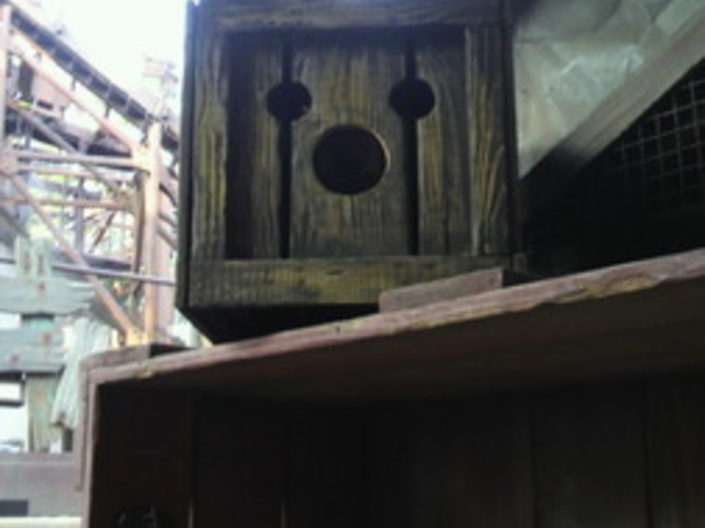 �����f�B�Y�j�[�V�[(R)