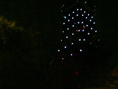 �Ō����̔~�̎ʐ^1