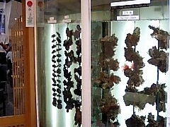 ���������肪�Ƃ��I����̏Ă����̂͂₵�ւ̓��e�ʐ^1