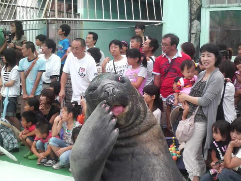 伊勢シーパラダイス