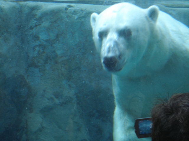 ���R������