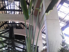 m񂳂̎Rt[Z^[EnCW̑ւ̓eʐ^1