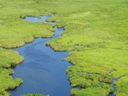 jwtoshĩRb^W]̓eʐ^1