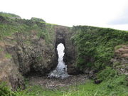 ӂY(LEցEM)̋S̑Ղ̓eʐ^1