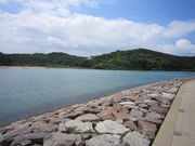 �ӂ����Y(�L�E�ցE�M)����̏����l�C������̓��e�ʐ^1