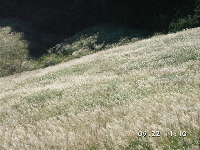 ��Ό�����