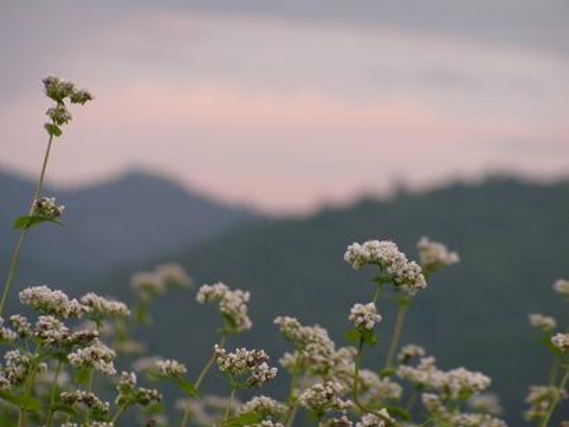 ���̉w���n