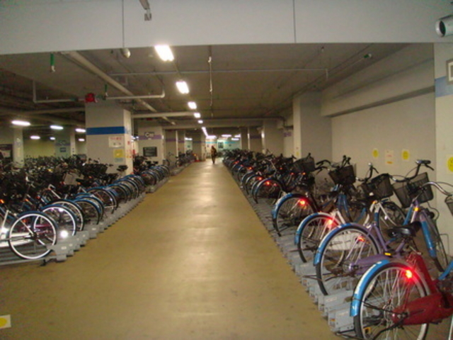 �����s�����^�T�C�N��