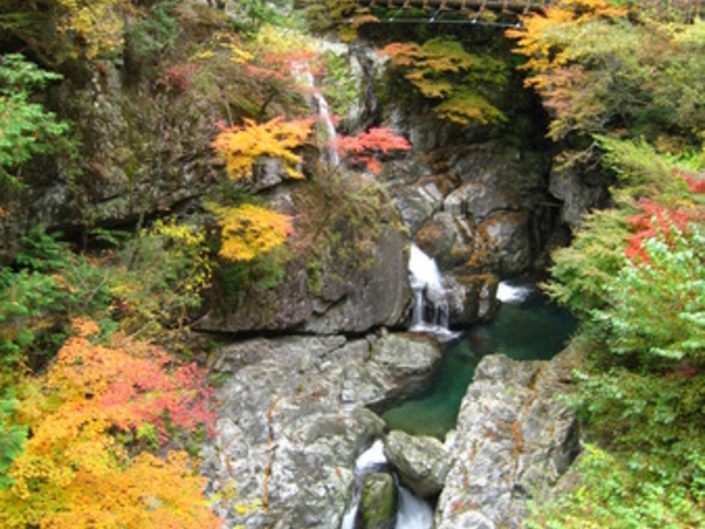 �݂��炢�k�J�̍g�t