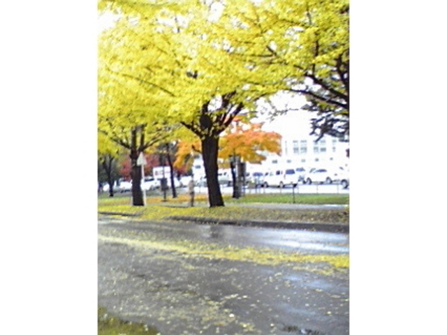 �k��C�`���E����