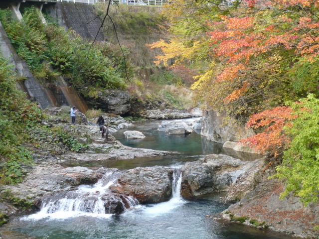 �l�����M��