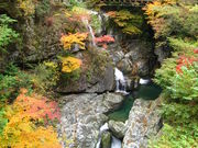 dogwell݂̂炢kJ̍gt̓eʐ^1