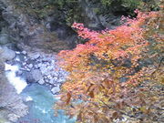 񂫂̍w薼uȋv̓eʐ^1