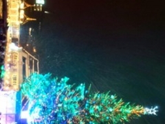 �͂����ăN���X�}�X�t�@���^�W�[�̎ʐ^1