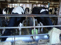 És_ƃZ^[@delaӂ[ނ̎ʐ^1