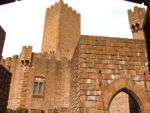 �u���X�y�C�����p���P�G�X�p�[�j��