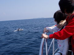 ςς񂳂̓̉w ɓ}^Eւ̓eʐ^1