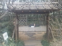 しょうちゃんさんの赤塚植物園の投稿写真1