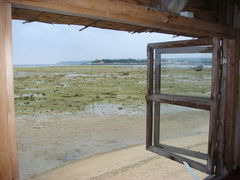 񂳂̕lӂ̒ւ̓eʐ^1