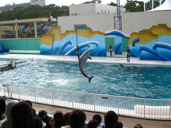 ����V�[���[���h�̎ʐ^1