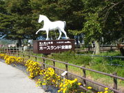 yukikõz[Xhܖ̓eʐ^1