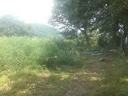 ���傤����񂳂�̒u����Ղ̓��e�ʐ^1