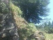 傤񂳂̔؏Ղ̓eʐ^1