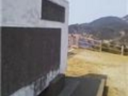 W[̗^ӖSAqvȂ̉̔̓eʐ^1