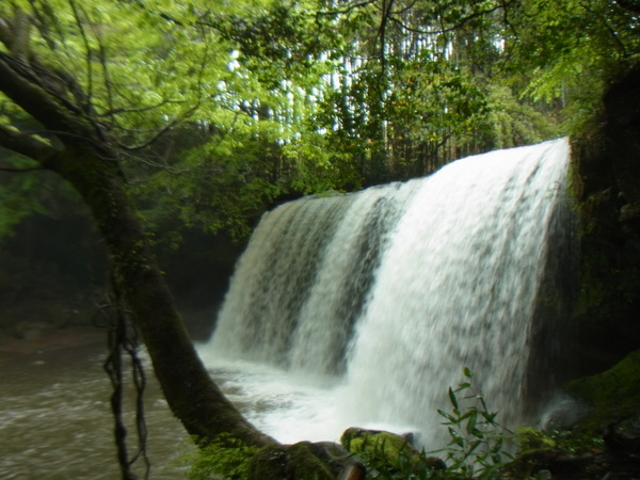 �烖������@�@���E�F�u����̎��O�\�񐧂ɂ������ƂȂ��Ă���܂��B