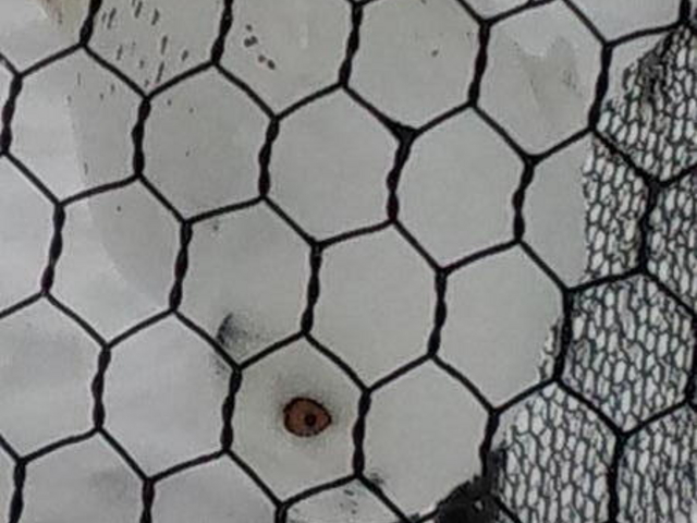 ���R������