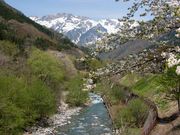 ���}������̒J�쉷��̓��e�ʐ^1