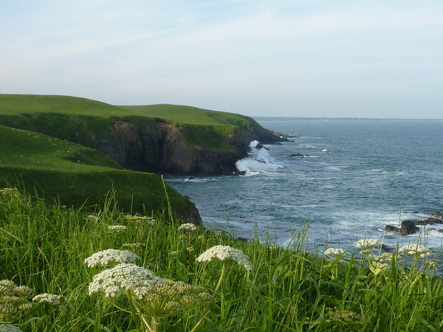 �����Ԑ�